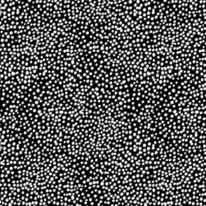 Little tiny cheetah spots sweet boho basic spots animal inspired minimal nursery print monochrome black on white