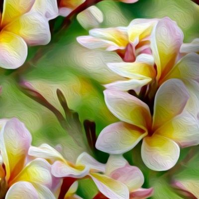 frangipani - large - yellow