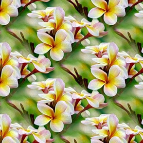 frangipani - small - yellow