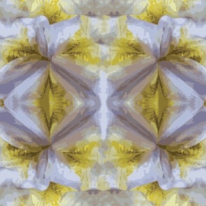 Kaleidoscope Iris