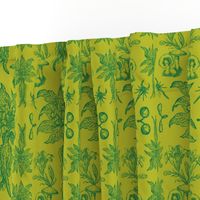 Mandragora Mushroom Toile in Citron Green + Mugwort