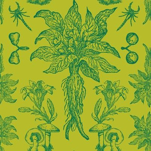 Mandragora Mushroom Toile in Citron Green + Mugwort