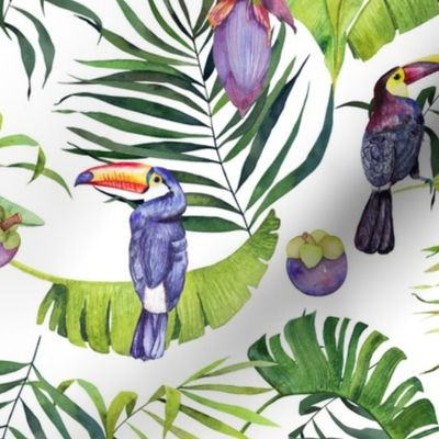    Watercolor tropics: toucans, bananas, mangosteen
