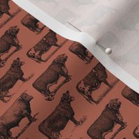 Classic Cow Illustrations in Black with Santa Fe Brown Background (Mini Scale)