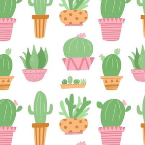 Modern Cactus Plant Pots