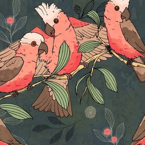 Flock of Galahs_blue/green