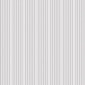 GREY STRIPE 