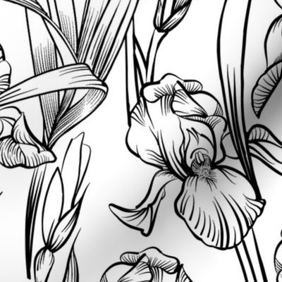 Toile Iris Flowers | Black + White