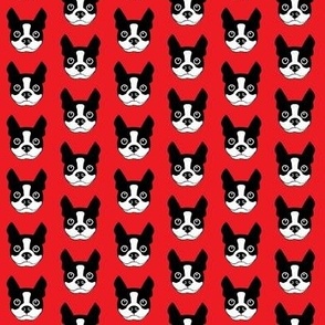 tiny boston terrier faces on red