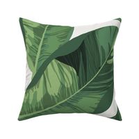 Banana Leaves on Vellum