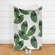 Banana Leaves on Vellum