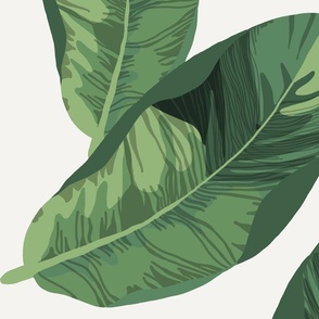 Banana Leaves on Vellum