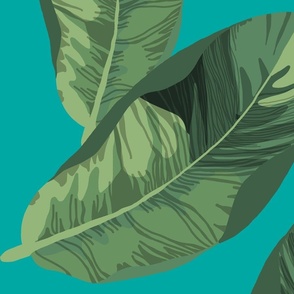 Banana Leaves on Teal