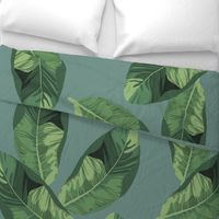 Banana Leaves on Sage