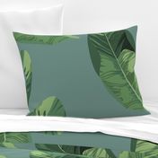 Banana Leaves on Sage