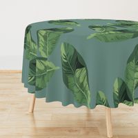 Banana Leaves on Sage