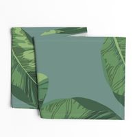 Banana Leaves on Sage