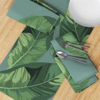 Banana Leaves on Sage