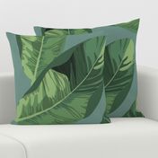 Banana Leaves on Sage