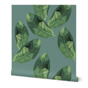 Banana Leaves on Sage