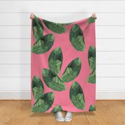 Banana Leaves on Candy Pink