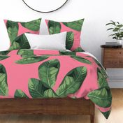 Banana Leaves on Candy Pink