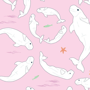 Belugas on Pink