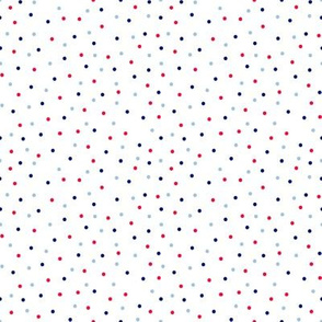 BKRD Patriotic Polka Dots White 4x4