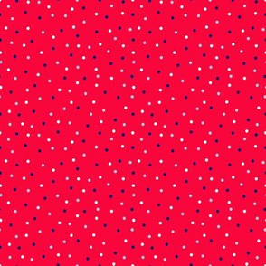 BKRD Patriotic Polka Dots Red 4x4