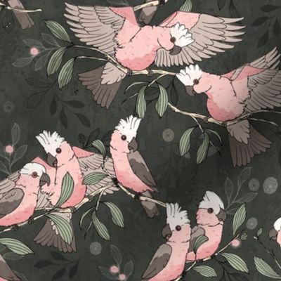 Flock of Galahs_pinkandgrey, by Rebel Challenger