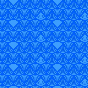 Blue Geometrics - SM