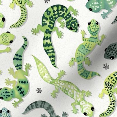 Leopard gecko green