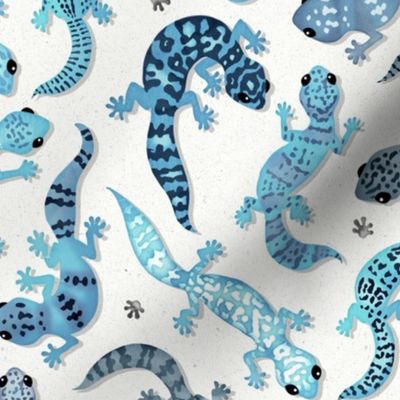Leopard gecko blue
