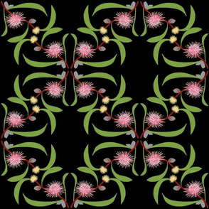 Pincushion Hakea lattice  - black, large 