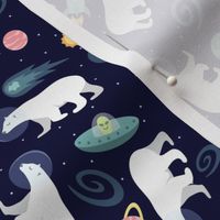 Polar Bears in Space