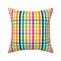 Birchdale Gingham || spring & summer rainbow check