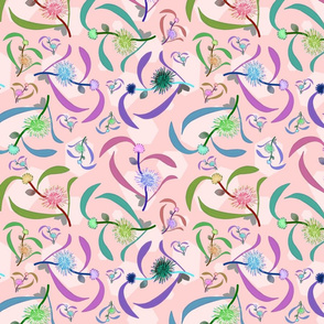 Pincushion Hakea Waltz - musk pink/multi, medium  