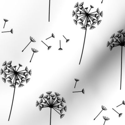 dandelions {1 smaller} black and white 25% smaller scale