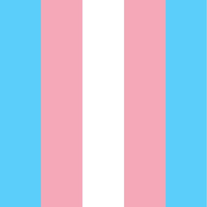 Endless Trans Pride Stripe