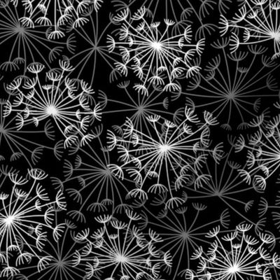 dandelions {3} black and white reversed