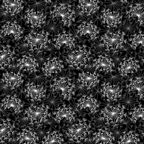 dandelions {3} black and white reversed