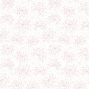 dandelions {3} blushing pink