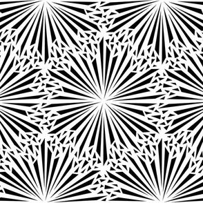 kaleidoscope black and white