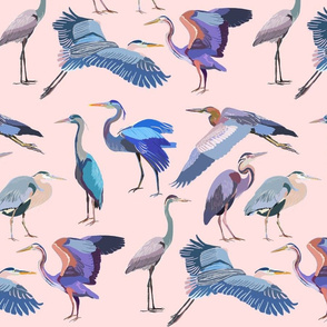 Colorful Herons