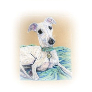 White Whippet/Sighthound portrait -misty