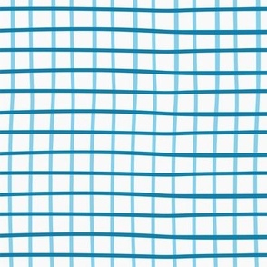 Blue grids