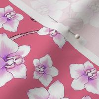 Orchids Rose Pink - XS