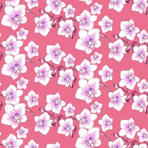 Orchids Rose Pink - XS