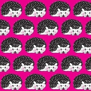 black and white hedgehogs on magenta
