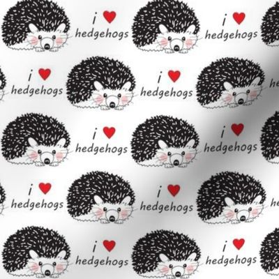 i love hedgehogs